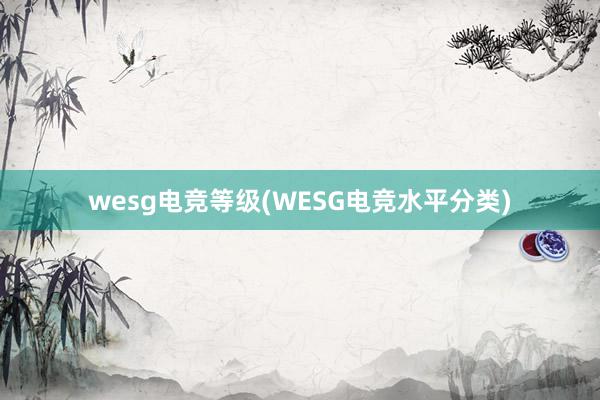 wesg电竞等级(WESG电竞水平分类)
